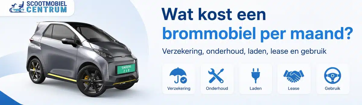 Brommobiel met pictogrammen voor verzekering onderhoud opladen leasen en dagelijks gebruik